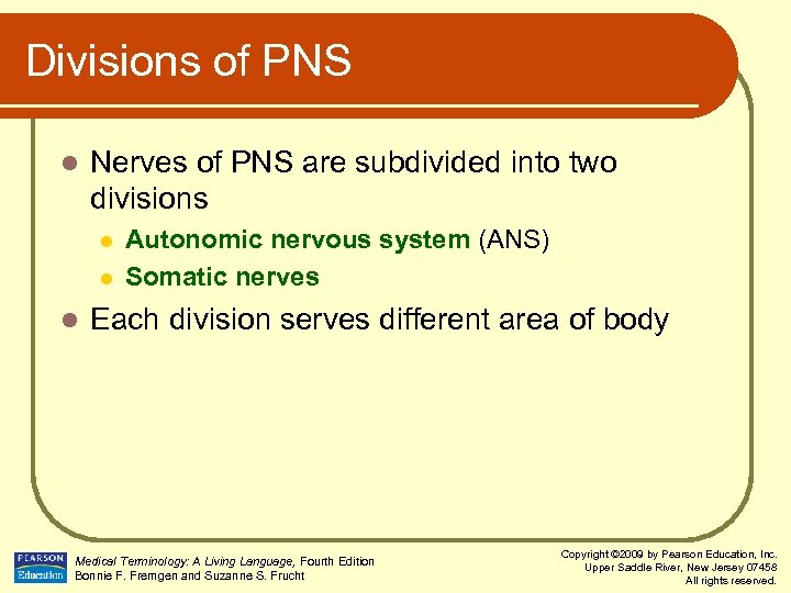 Divisions of PNS l Nerves of PNS are subdivided into two divisions l l