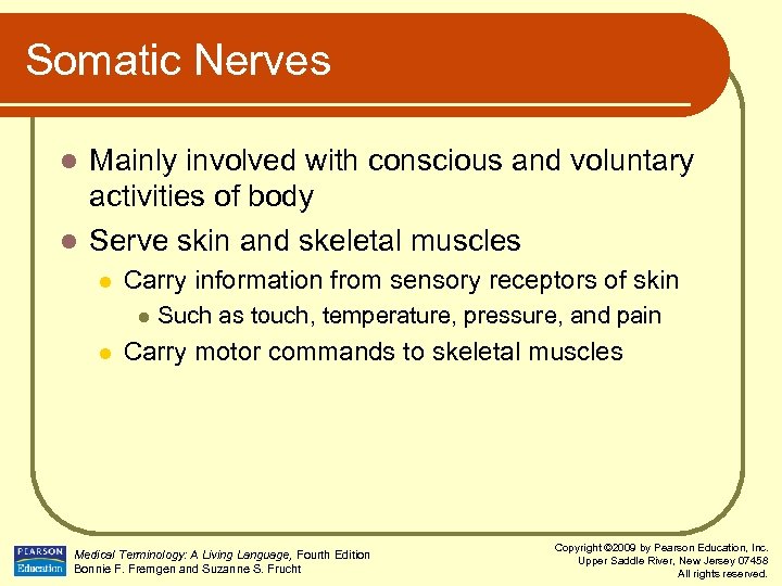 Somatic Nerves Mainly involved with conscious and voluntary activities of body l Serve skin