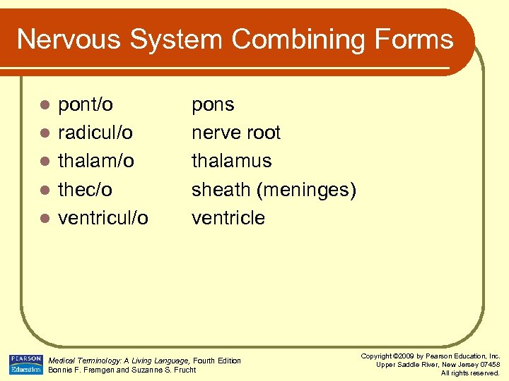 Nervous System Combining Forms l l l pont/o radicul/o thalam/o thec/o ventricul/o pons nerve