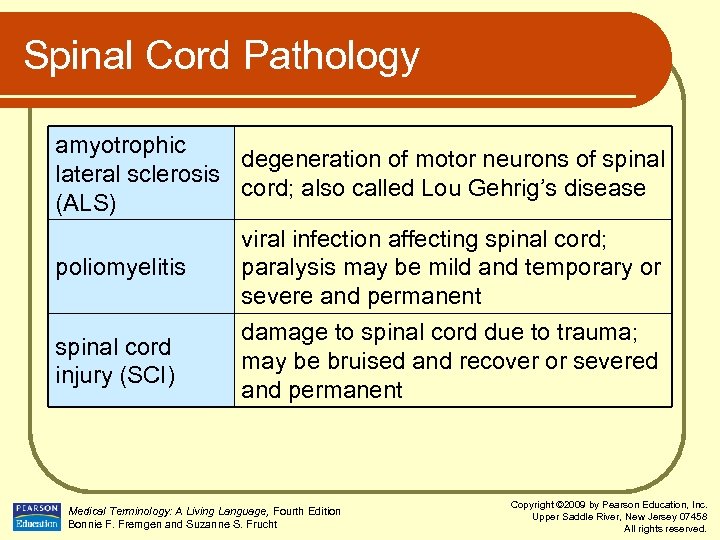 Spinal Cord Pathology amyotrophic degeneration of motor neurons of spinal lateral sclerosis cord; also