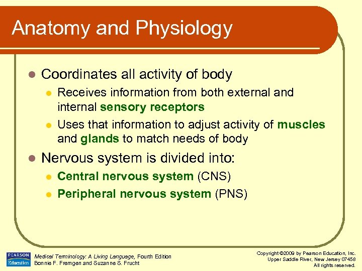 Anatomy and Physiology l Coordinates all activity of body l l l Receives information