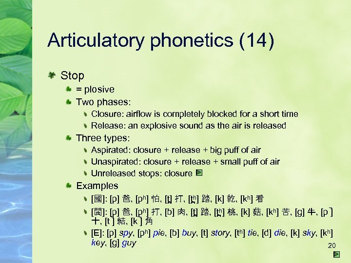 Articulatory phonetics (14) Stop = plosive Two phases: Closure: airflow is completely blocked for