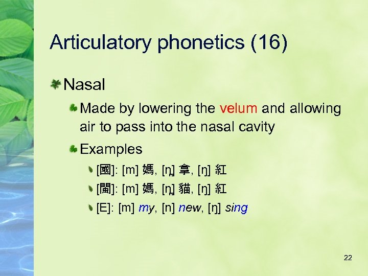 Articulatory phonetics (16) Nasal Made by lowering the velum and allowing air to pass