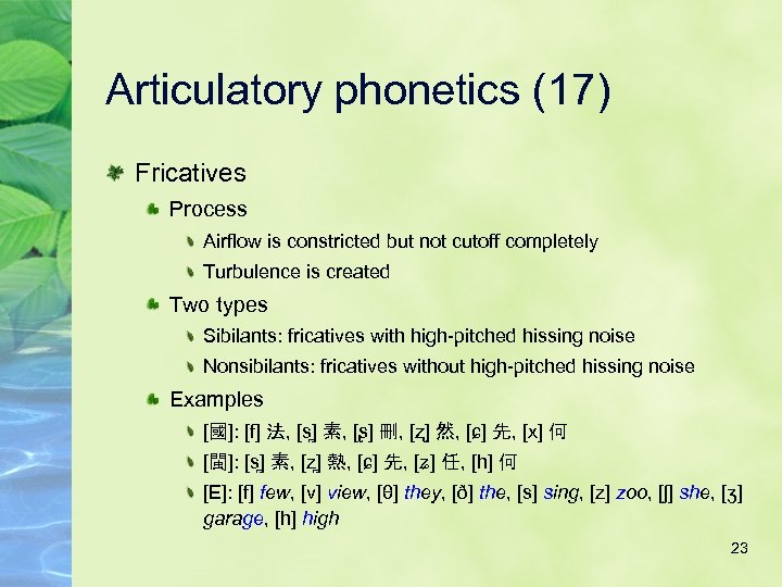 Articulatory phonetics (17) Fricatives Process Airflow is constricted but not cutoff completely Turbulence is