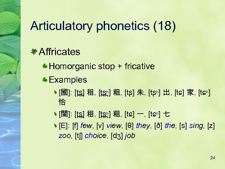 Articulatory phonetics (18) Affricates Homorganic stop + fricative Examples [國]: [t s ] 租,
