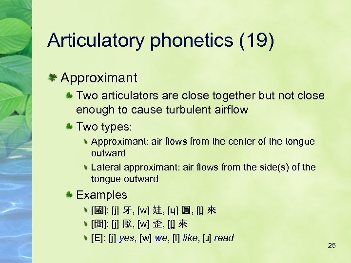 Articulatory phonetics (19) Approximant Two articulators are close together but not close enough to