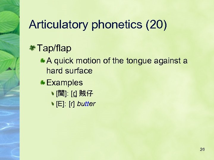 Articulatory phonetics (20) Tap/flap A quick motion of the tongue against a hard surface