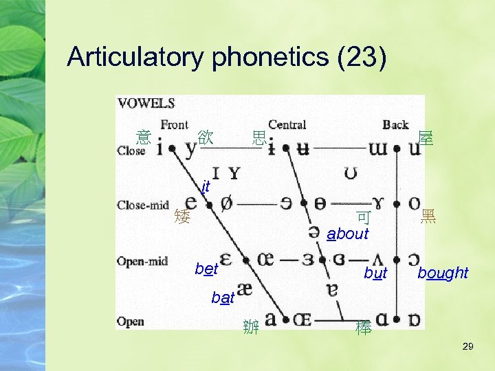 Articulatory phonetics (23) 意 欲 思 屋 it 矮 可 about bet but 黑