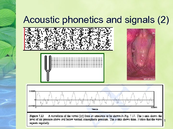 Acoustic phonetics and signals (2) 44 
