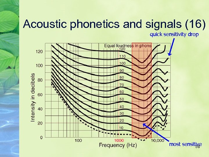 Acoustic phonetics and signals (16) quick sensitivity drop most sensitive 58 