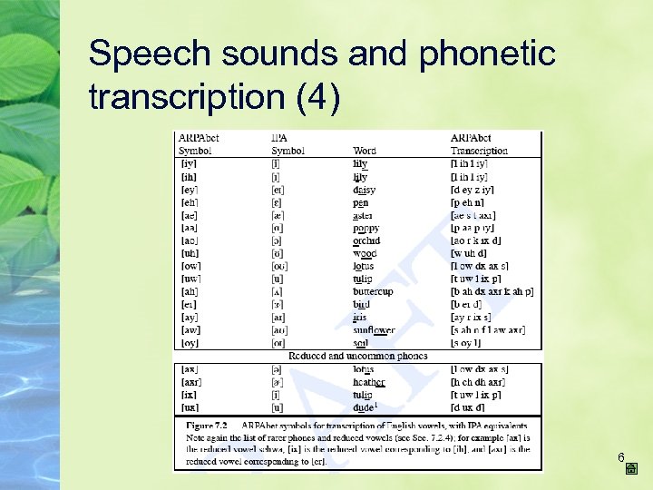 Speech sounds and phonetic transcription (4) 6 