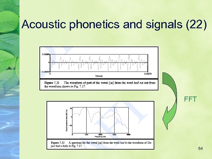 Acoustic phonetics and signals (22) FFT 64 