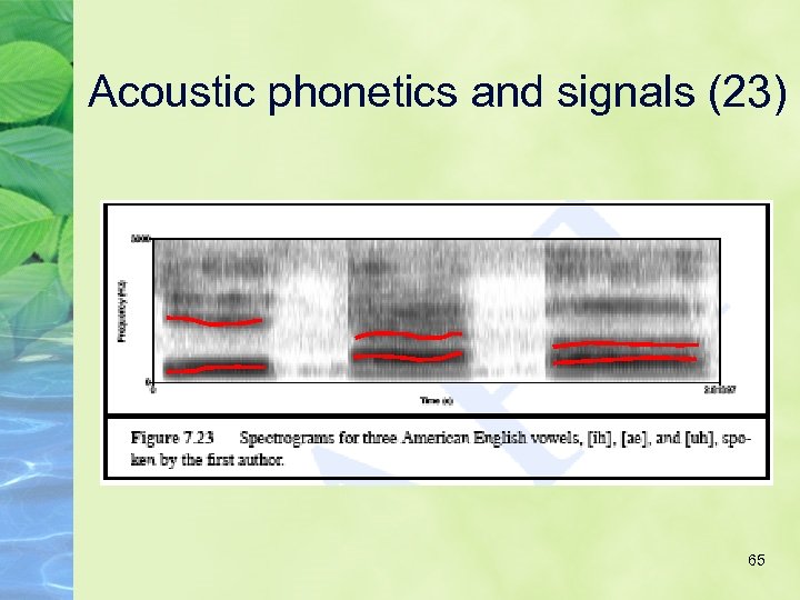 Acoustic phonetics and signals (23) 65 