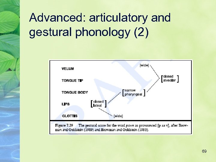 Advanced: articulatory and gestural phonology (2) 69 