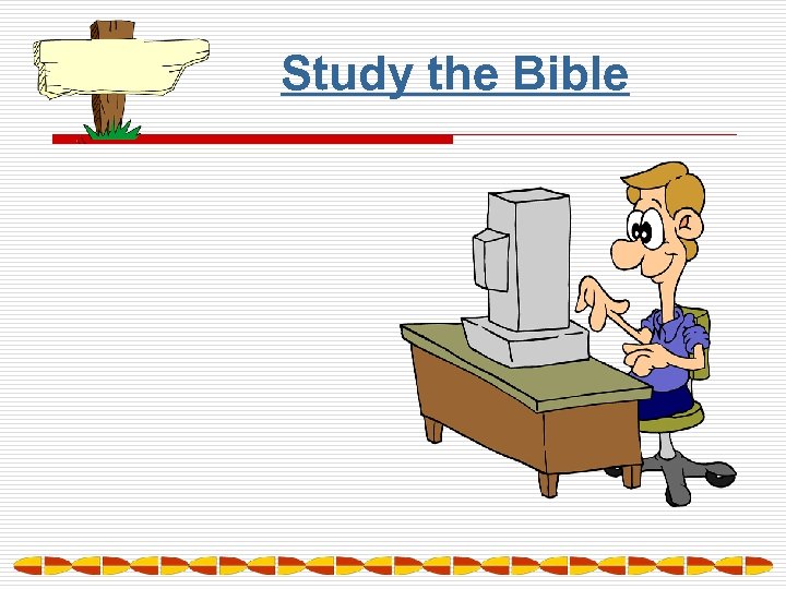 Study the Bible 