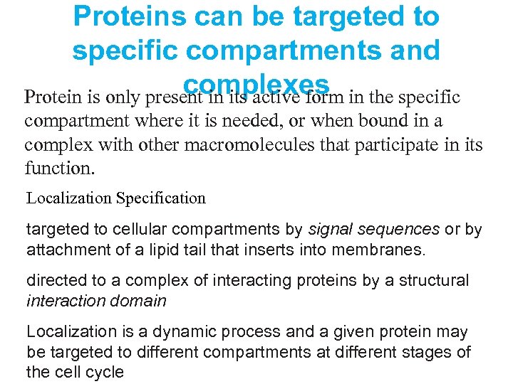 Proteins can be targeted to specific compartments and complexes in the specific Protein is