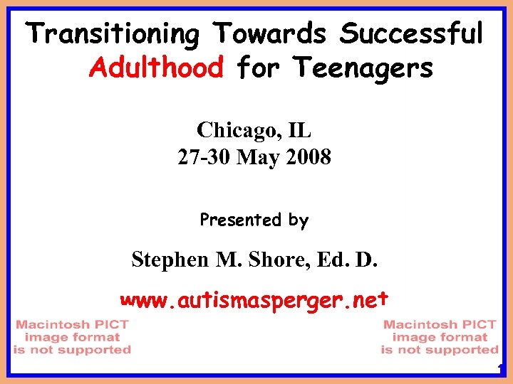 Transitioning Towards Successful Adulthood for Teenagers Chicago, IL 27 -30 May 2008 Presented by