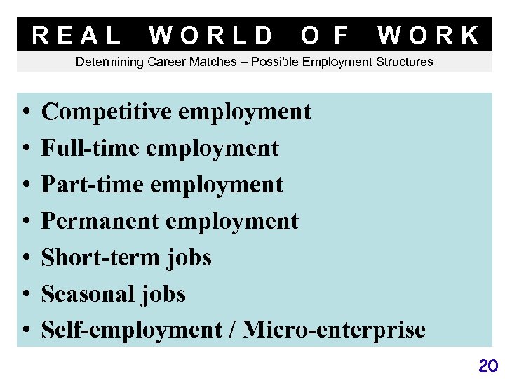 REAL WORLD O F WORK Determining Career Matches – Possible Employment Structures • •