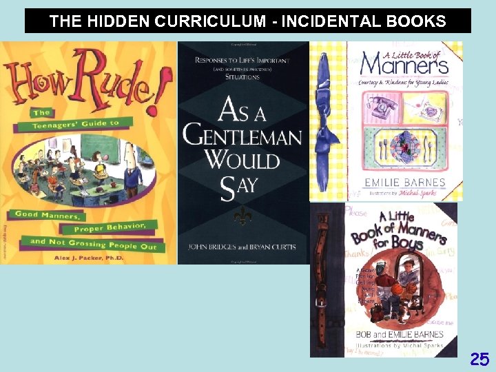 THE HIDDEN CURRICULUM - INCIDENTAL BOOKS 25 