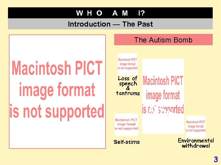 W H O A M I? Introduction — The Past The Autism Bomb Loss