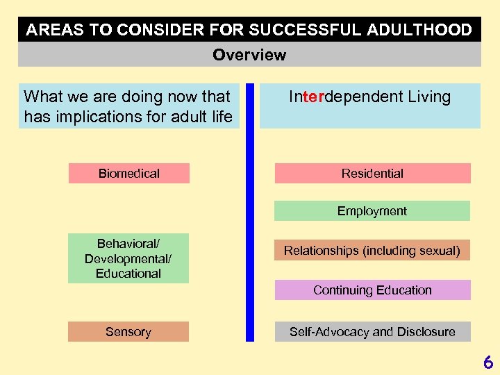 AREAS TO CONSIDER FOR SUCCESSFUL ADULTHOOD Overview What we are doing now that has