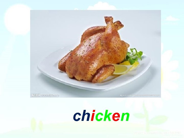 chicken 