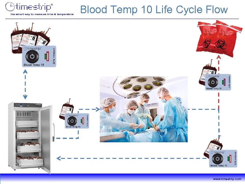 Blood Temp 10 Life Cycle Flow www. timestrip. com 