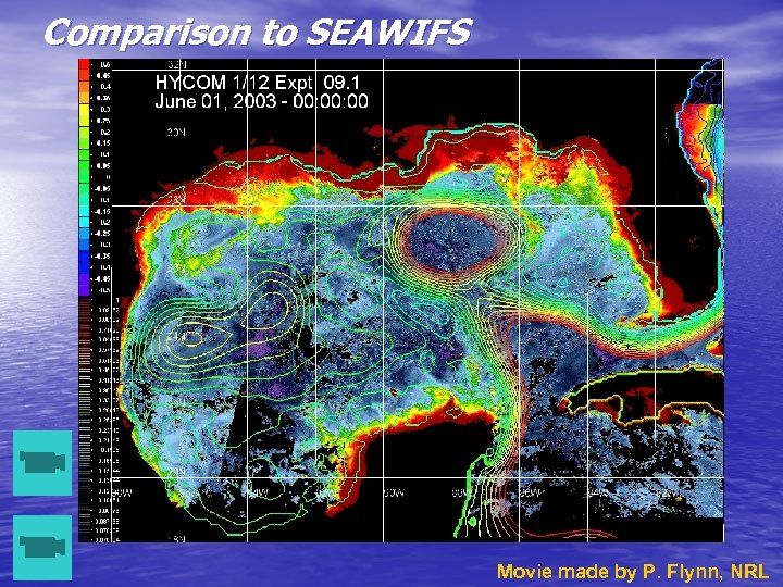 Comparison to SEAWIFS Movie made by P. Flynn, NRL 