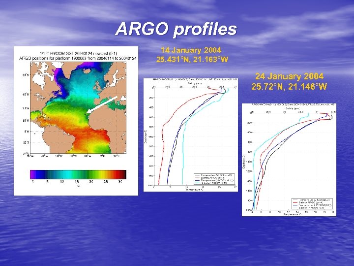 ARGO profiles 14 January 2004 25. 431°N, 21. 163°W 24 January 2004 25. 72°N,