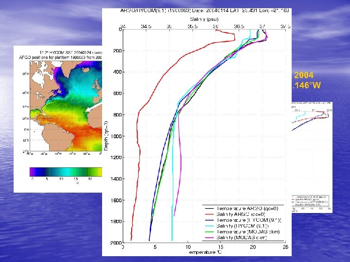 ARGO profiles 14 January 2004 25. 431°N, 21. 163°W 24 January 2004 25. 72°N,