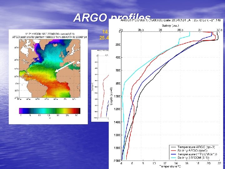 ARGO profiles 14 January 2004 25. 431°N, 21. 163°W 24 January 2004 25. 72°N,