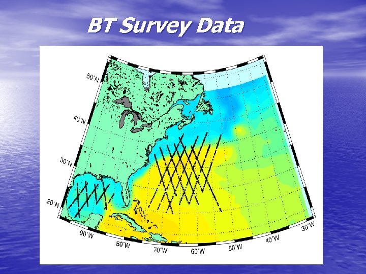 BT Survey Data 