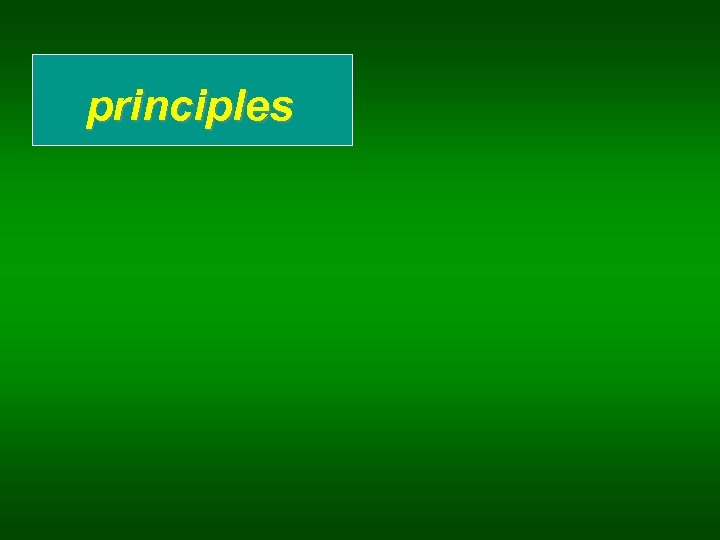 principles 