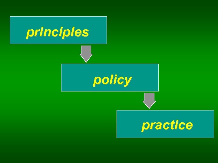 principles policy practice 