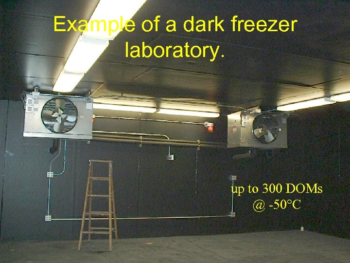 Example of a dark freezer laboratory. up to 300 DOMs @ -50°C 