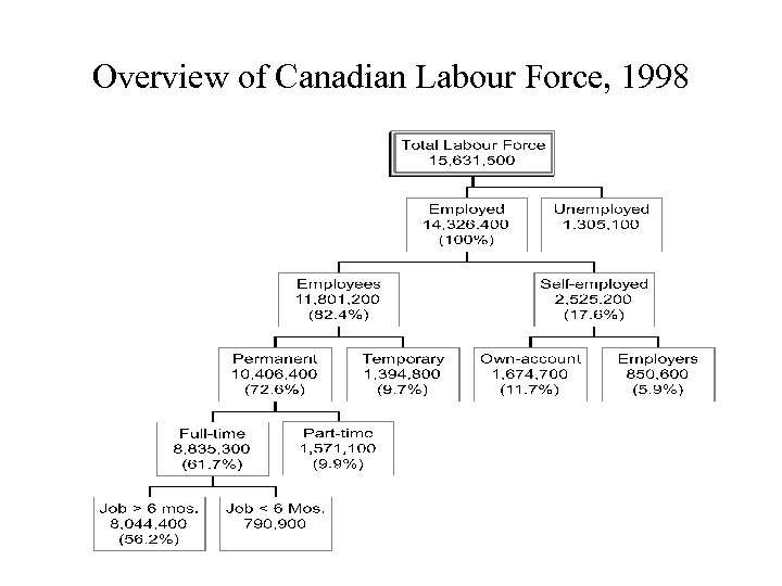 Overview of Canadian Labour Force, 1998 