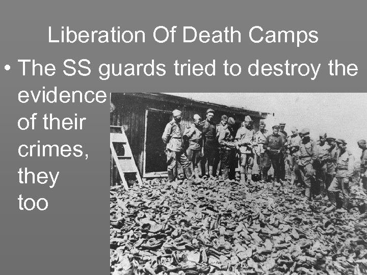Liberation Of Death Camps • The SS guards tried to destroy the evidence of