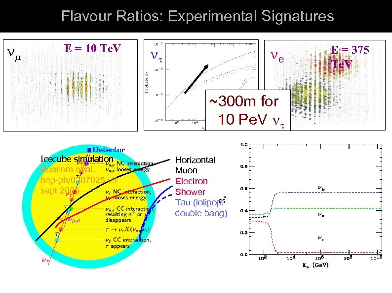 Tau neutrinos Flavour Ratios: Experimental Signatures E = 10 Te. V 104 ly e