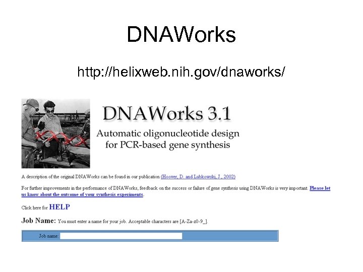 DNAWorks http: //helixweb. nih. gov/dnaworks/ 