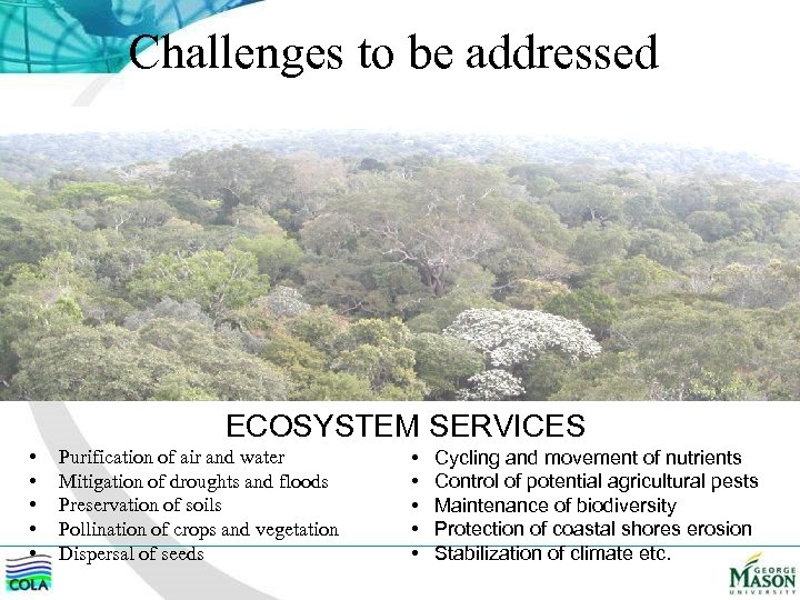 Challenges to be addressed ECOSYSTEM SERVICES • • • Purification of air and water