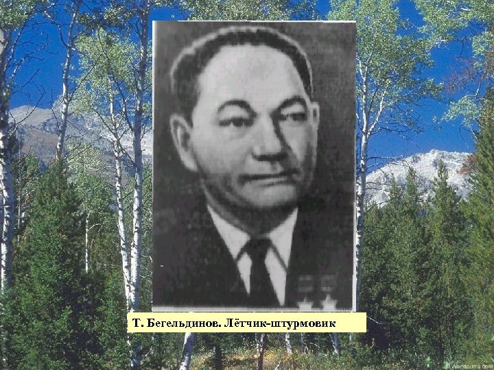 Т. Бегельдинов. Лётчик-штурмовик 
