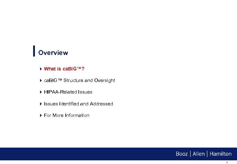 Overview 4 What is ca. BIG™? 4 ca. BIG™ Structure and Oversight 4 HIPAA-Related