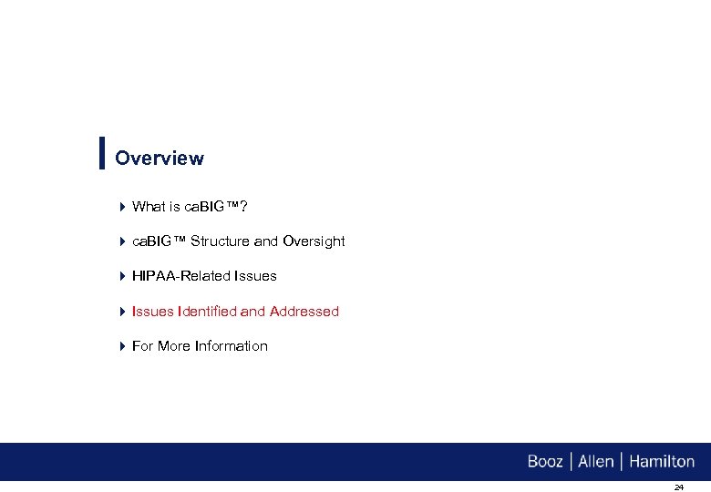 Overview 4 What is ca. BIG™? 4 ca. BIG™ Structure and Oversight 4 HIPAA-Related