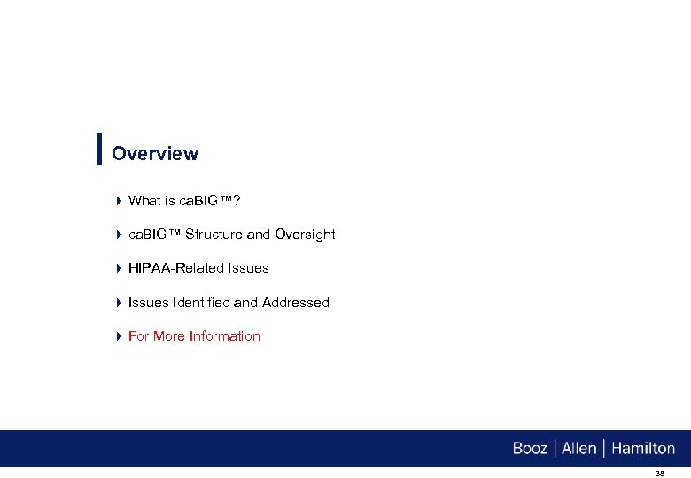 Overview 4 What is ca. BIG™? 4 ca. BIG™ Structure and Oversight 4 HIPAA-Related