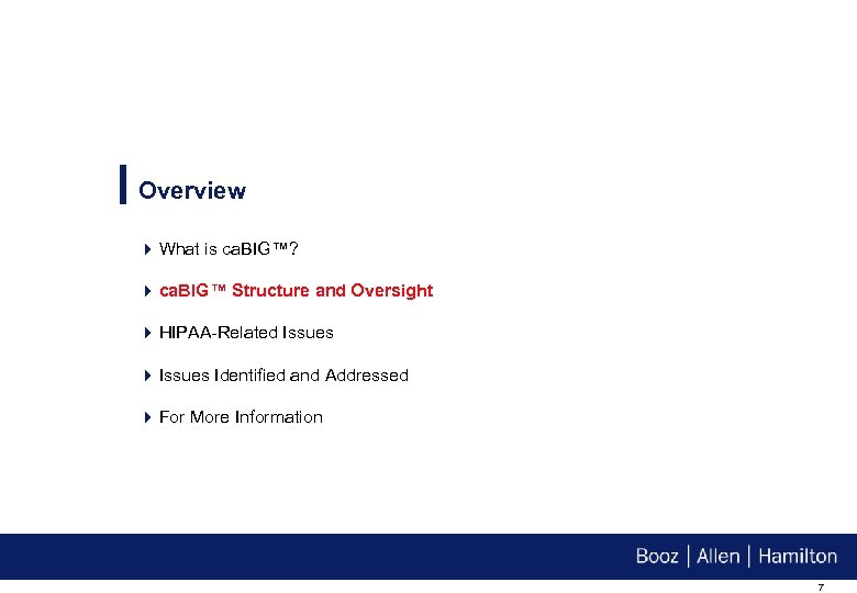 Overview 4 What is ca. BIG™? 4 ca. BIG™ Structure and Oversight 4 HIPAA-Related