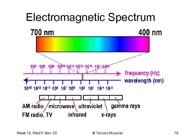 Electromagnetic Spectrum Week 10, Wed 5 Nov 03 © Tamara Munzner 19 