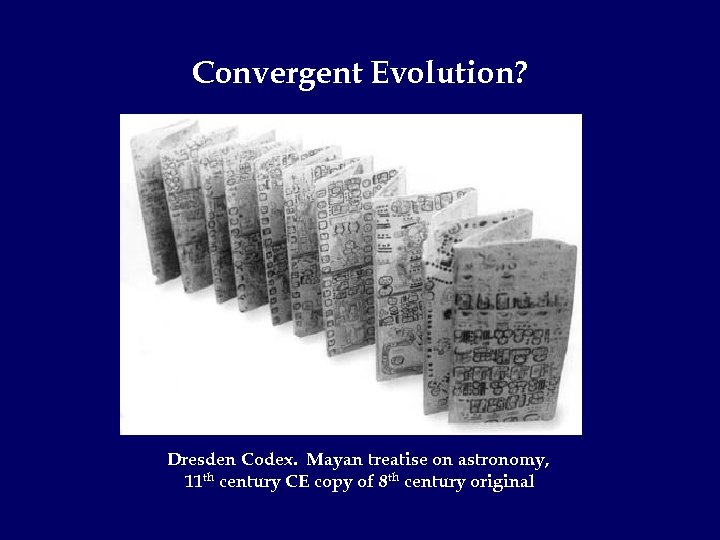 Convergent Evolution? Dresden Codex. Mayan treatise on astronomy, 11 th century CE copy of