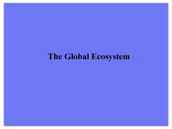 The Global Ecosystem 