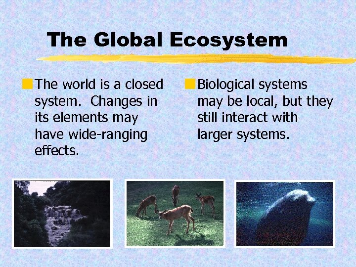 The Global Ecosystem ¢ The world is a closed system. Changes in its elements