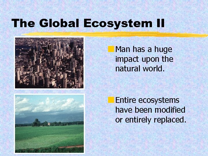The Global Ecosystem II ¢ Man has a huge impact upon the natural world.